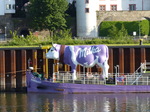 FZ016138 Giant Milka cow on Mosel in Koblenz.jpg